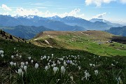 40 Vista sui Piani d'Avaro con Orobie sullo sfondo